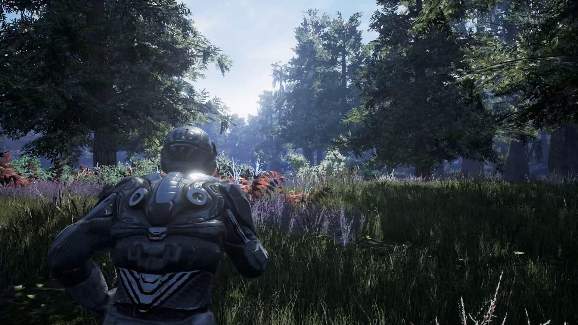 Fragmented screenshot 5