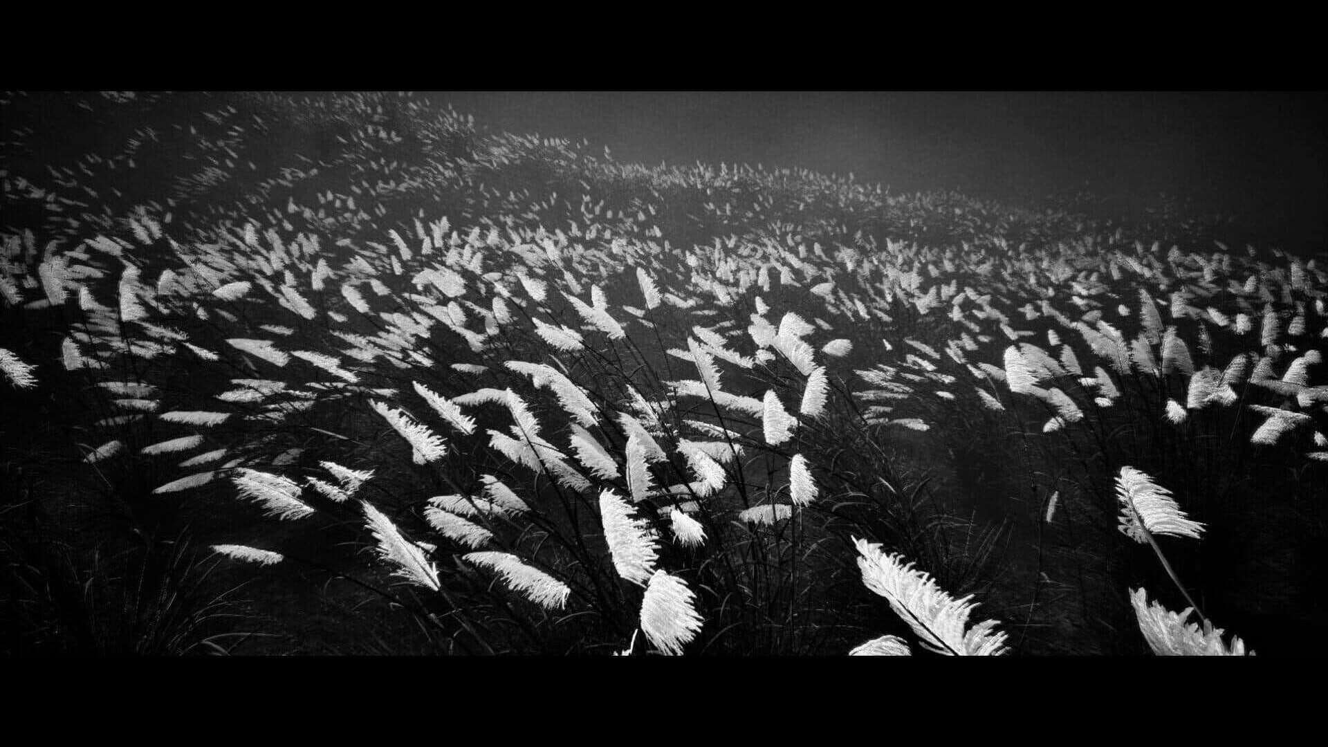Susuki Kaidan screenshot 6