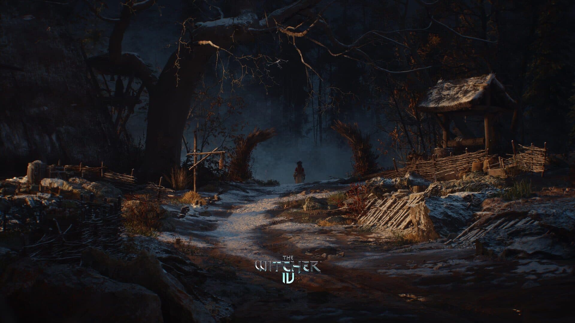 The Witcher IV screenshot 5