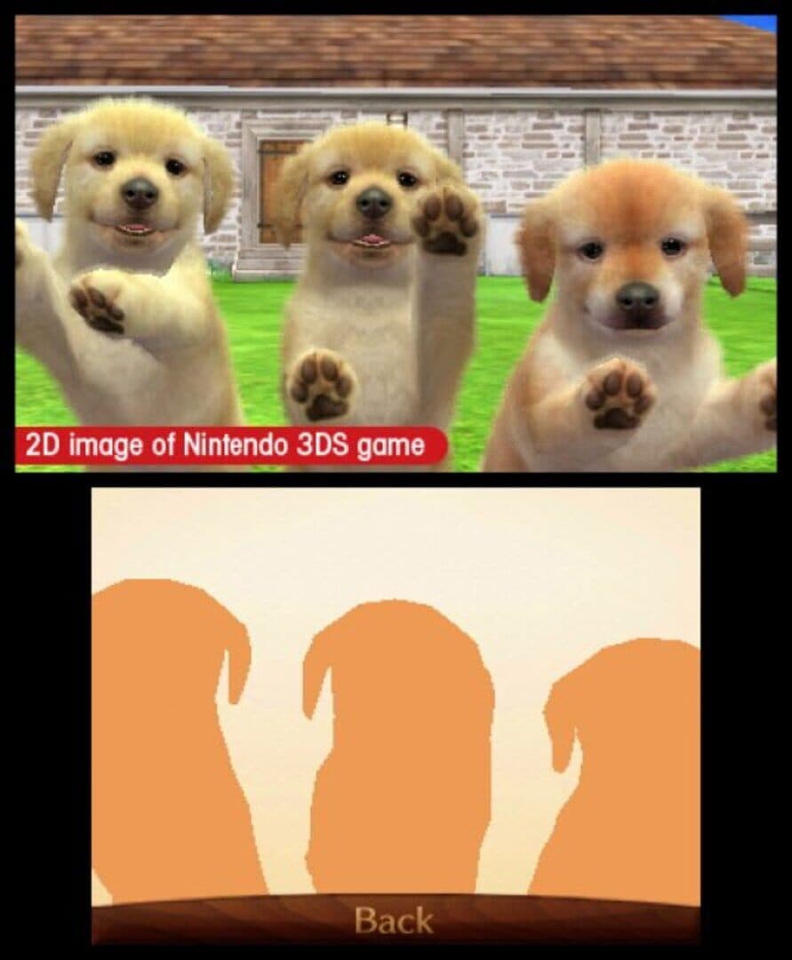 Nintendogs + Cats: Golden Retriever & New Friends screenshot 1
