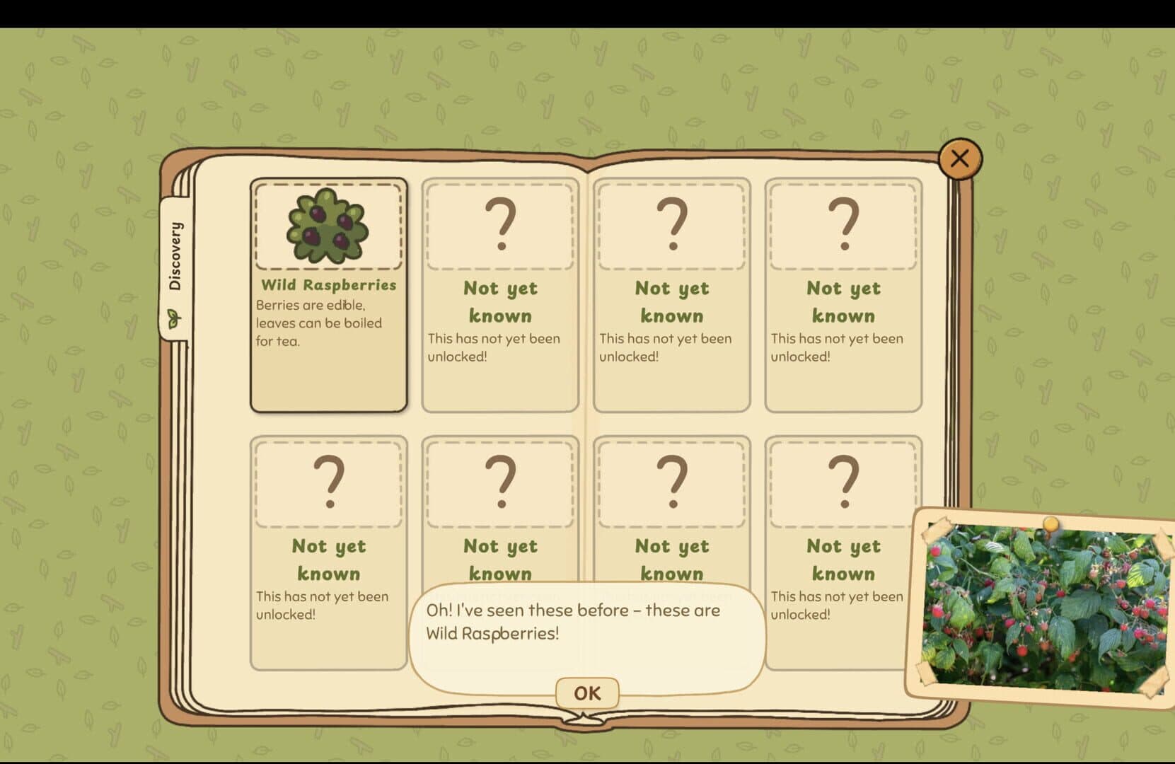 Grandma's Guide to the Grand Outside screenshot 5