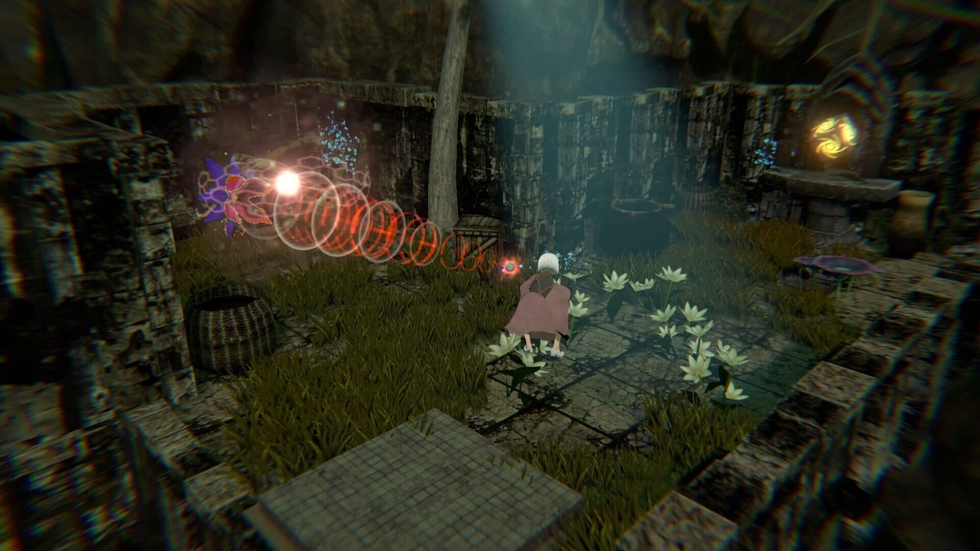Amira screenshot 5